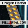 Dragon Herbal cialis1